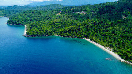 Beach with palm trees. Aerial view of a tropical island. Blue sea, sandy beach, tropical rainforest. Jungle by the sea.