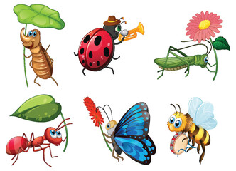 Set of various insect cartoon characters