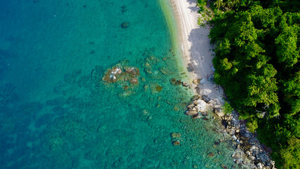Beach with palm trees. Aerial view of a tropical island. Blue sea, sandy beach, tropical rainforest. Jungle by the sea.