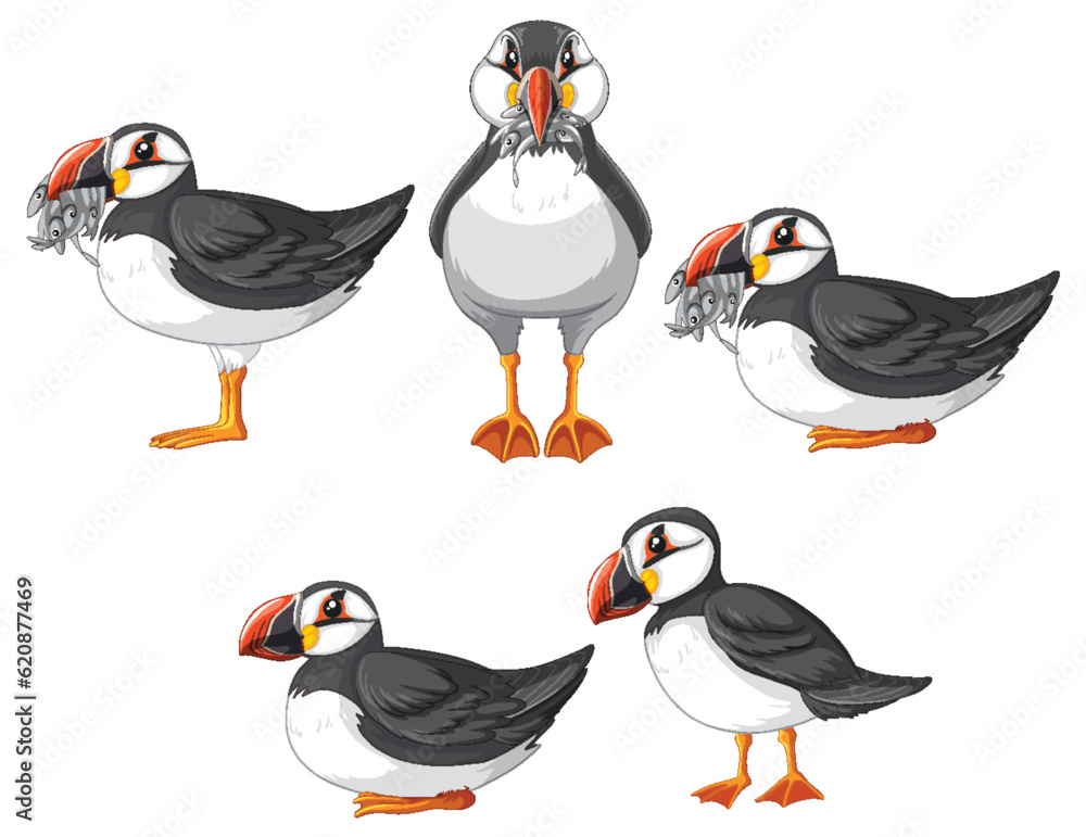 Canvas Prints set of puffin bird cartoon character in different poses