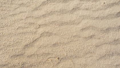 Texture of sandy beach as background, top view