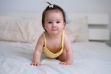 mixed ethnicity Asian Caucasian baby girl crawling on bed happy and curious - sweet and adorable little baby 8 months old with a funny pony tail exploring around cheerful