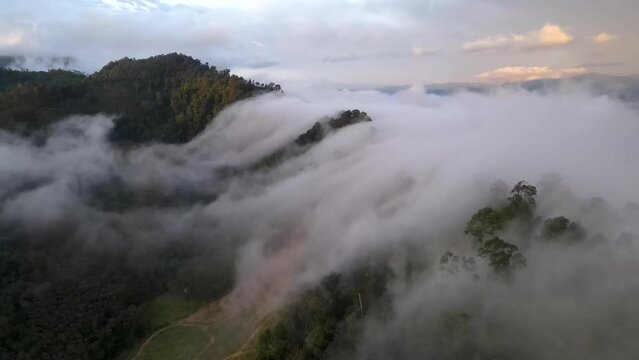 Mountain with foggy in morning moving on blue sky natural background. top view with frist light golden time