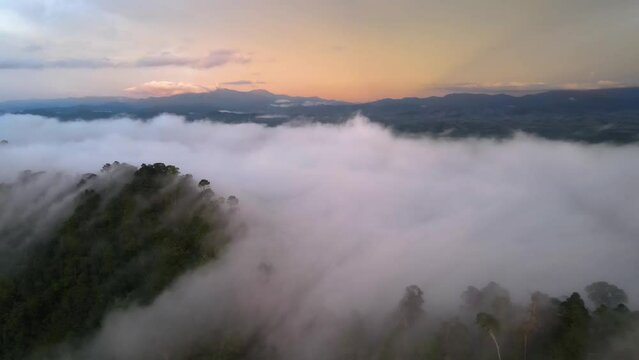 Mountain with foggy in morning moving on blue sky natural background. top view with frist light golden time