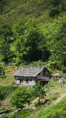 Rocky cabin in the woods with slate roof