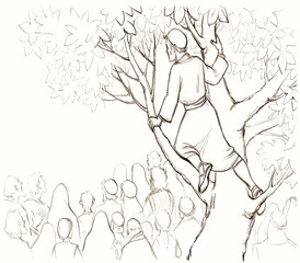 Zacchaeus. The man in the tree looks out into the crowd. Pencil drawing