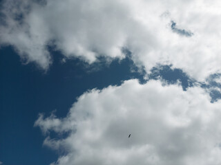 Blue sky with white clouds and the silhouette of a stork high in the air.