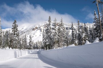 Fototapeta na wymiar Winter Wonderland: Snowy Road Surrounded by Majestic Forest Trees Blanketed in Heavy Snow, Filmed in Mesmerizing 4K Resolution