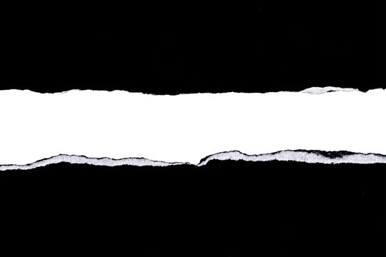 Rough ripped paper copy space