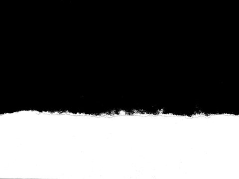 Torn paper edge isolated. Vintage paper element