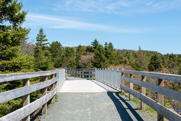A park walkway with a wooden bridge over a steep valley. The wood bridge has metal railings. There's a thick woods of tall trees in the background. The path is covered in gravel. 