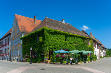 Fototapeta na wymiar Das Gasthaus Au Boef in Lauterbourg, dessen Fassade vollständig mit Efeu bewachsen ist. Departement Elsass in Frankreich