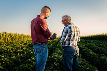 Two farmers standing in a field examining soy crop while using table