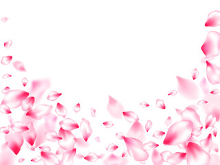 Obraz na płótnie Canvas Pink sakura petals confetti flying and falling