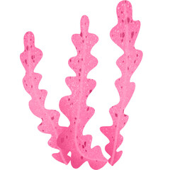  Watercolor seaweed design. © Chayapol