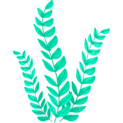  Watercolor seaweed design.