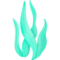  Watercolor seaweed design.