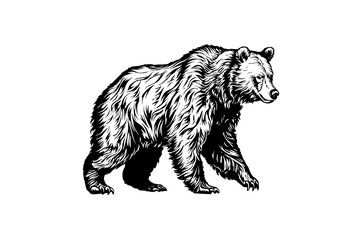 Naklejka na ściany i meble Bear side view logotype vector engraving style illustration