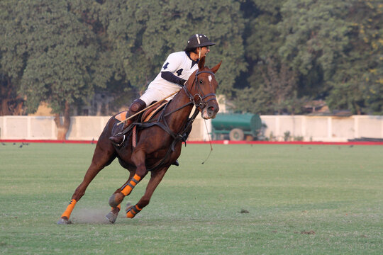 Man on a horse playing a polo match, New Delhi, India