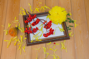 Red rowan berries on a rowan tree. Still life in a wooden frame. picture. A rowan tree on a branch. Ashberry. non-GMO. low-growing woody plants of the apple family (Rosales). on a white background.	
