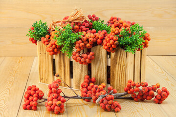 Red rowan berries on a rowan tree. with green leaves. They are in a wooden basket. A rowan tree on a branch. Ashberry. non-GMO. low-growing woody plants of the apple family (Rosales).Still-life
