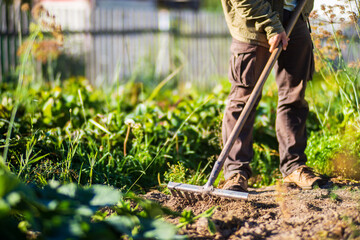 Farmer cultivating land in the garden with hand tools. Soil loosening. Gardening concept....