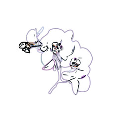 Color sketch of an orchid flower with transparent background