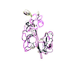 Color sketch of an orchid flower with transparent background