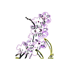 Color sketch of an orchid flower with transparent background