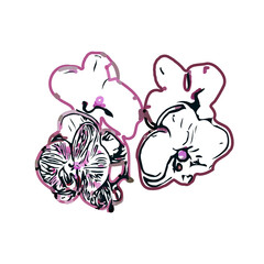 Color sketch of an orchid flower with transparent background