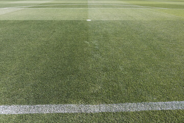 Natural grass field, seen from the area of ​​one of the goals. Concept of soccer, competition,...