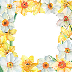 Square hand-drawn frame with watercolor narcissus in vintage style. Yellow and white daffodils. Illustration for greeting card, invitation etc.