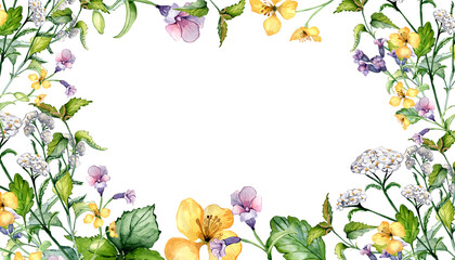 Board of wild medicinal plant, herbs watercolor illustration isolated on white background. Achillea millefolium, nettle, pulmonaria, celanine flower hand drawn. Design for label, package, postcard