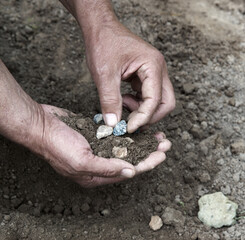 Male hands choose stones from the ground