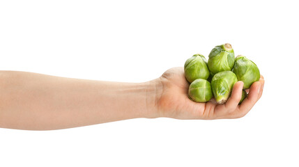 brussels sprout in hand path isolated on white