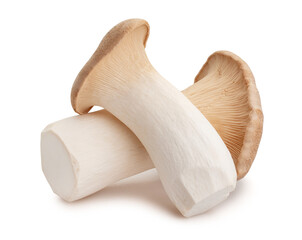 king oyster mushroom path isolated on white