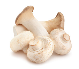 king oyster mushroom path isolated on white