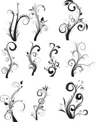 black and white floral vector illustration