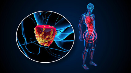 4K abstract 3D illustration of the prostate