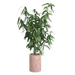tree in a pot On transparent background PNG file. Can be used for invitations, greeting, wedding card	