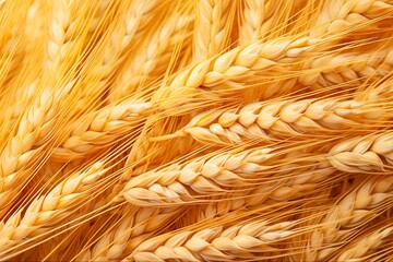 Close-Up View of Wheat Ear and Grains on Natural Background. Ideal for Agriculture, Harvest, Cereal and Healthy Food Concept: Generative AI