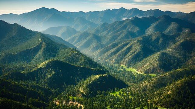 California Dreaming: Aerial View of Angeles National Forest with Evergreen and Pine Trees in Morning Light - 16:9 Aerial Photography of Wilderness Area: Generative AI