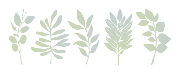 Set of leaves silhouette of beautiful plants, leaves, plant design 24. Vector illustration