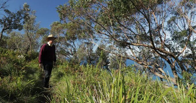 Older man in hat on bush walk stops to enjoy view of ocean from cliff top path. Locked down. Walking toward and past camera. Nature. Outdoors. Healthy. Lifestyle. Backpack. Male. Caucasian.