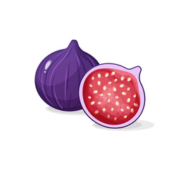 Half a fig in section. Flat design vector illustration of a fig on a white background.