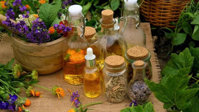 plant and herb tinctures and extracts. Selective focus.