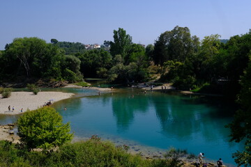 lake and forest