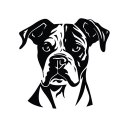 Vector isolated one single sitting Boxer dog head front view black and white bw two colors silhouette. Template for laser engraving or stencil, print for t shirt	