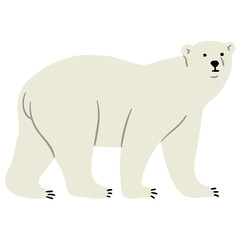 Polar Bear Single 30, vector illustration