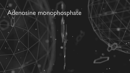 Adenosine monophosphate or AMP, adenylic acid molecule. Nucleotide monomer of RNA. Composed of phosphate, ribose and adenine moieties. Skeletal formula.